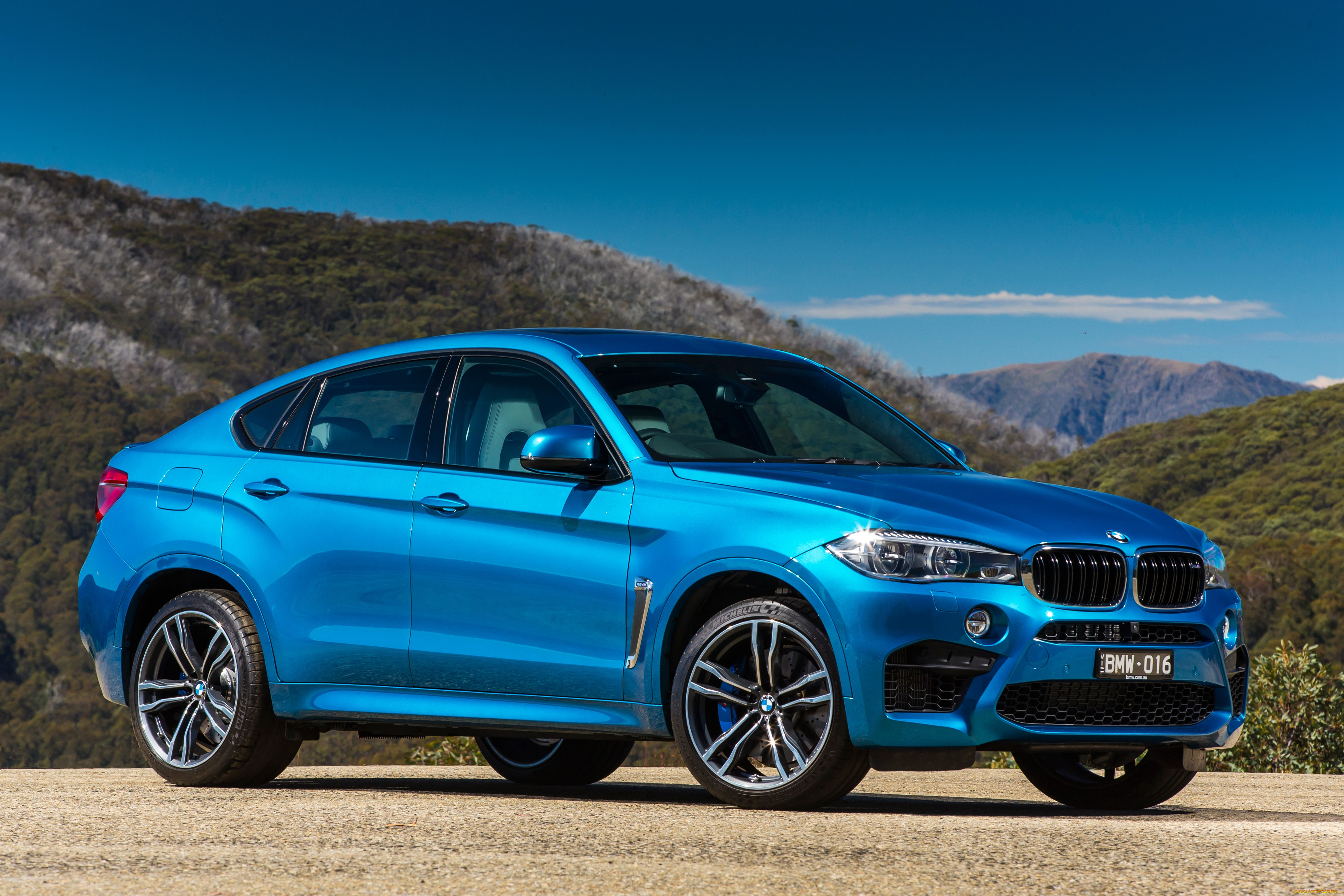 Bmw x6m фото